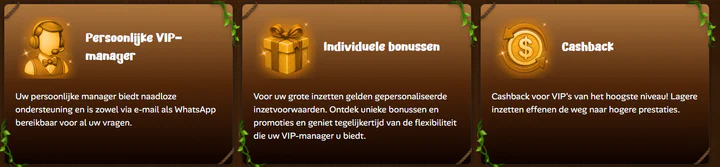 Asino Casino VIP-programma met een persoonlijke VIP-manager, individuele bonussen en cashback voor spelers met een hoge VIP-status